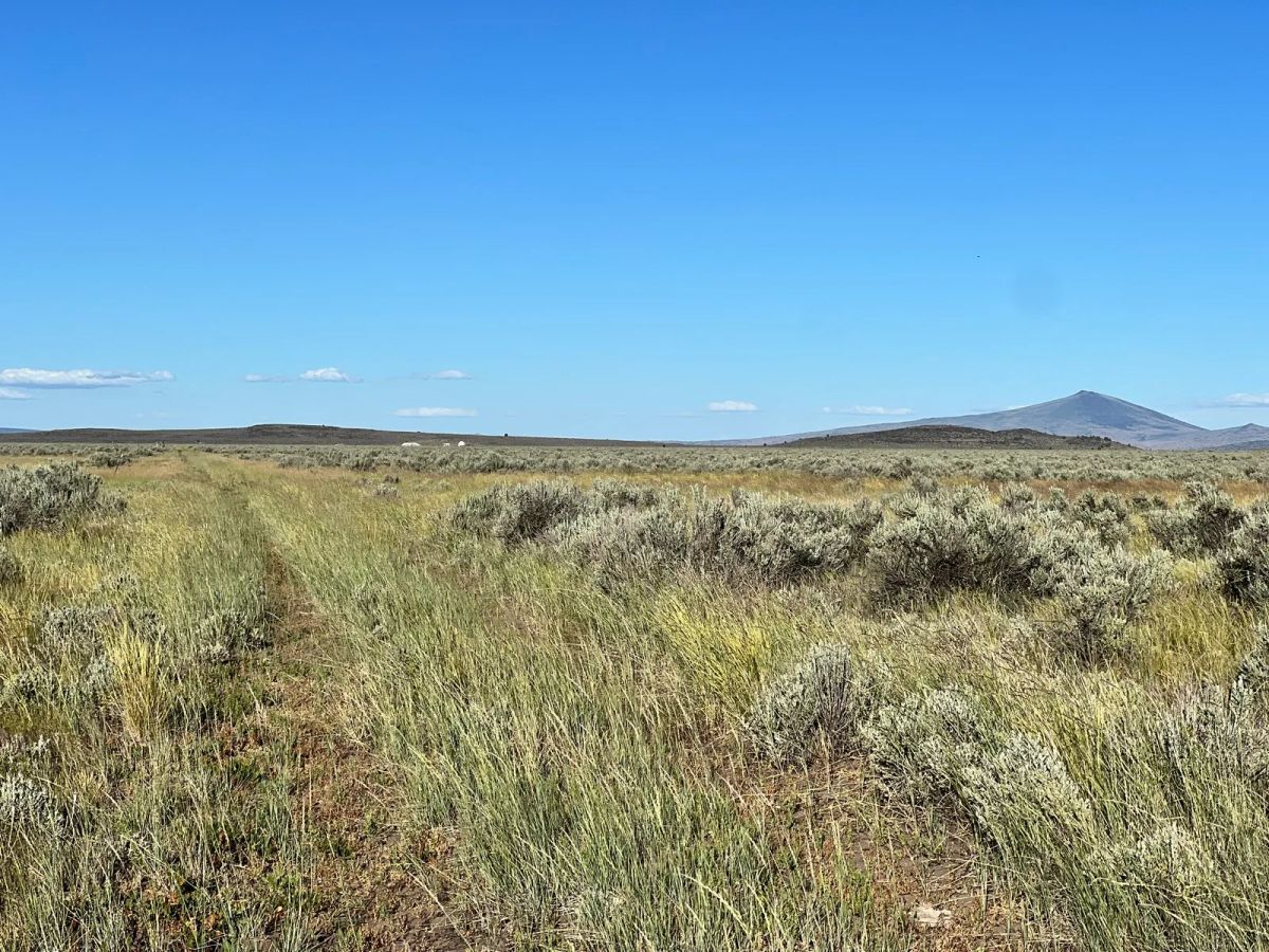 Decorative background for Near Termo, NE California image 7