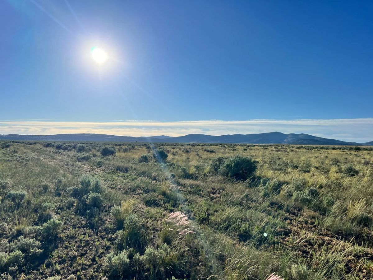 Decorative background for Near Termo, NE California image 8