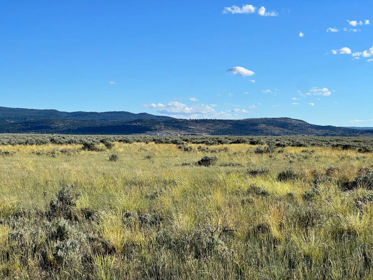 Decorative background for Near Termo, NE California image 9