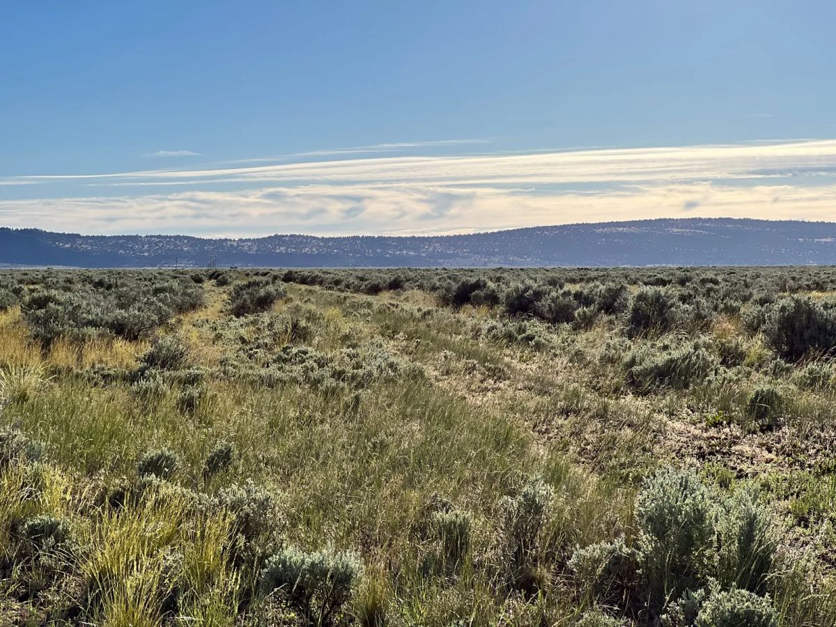 Decorative background for Near Termo, NE California image 10