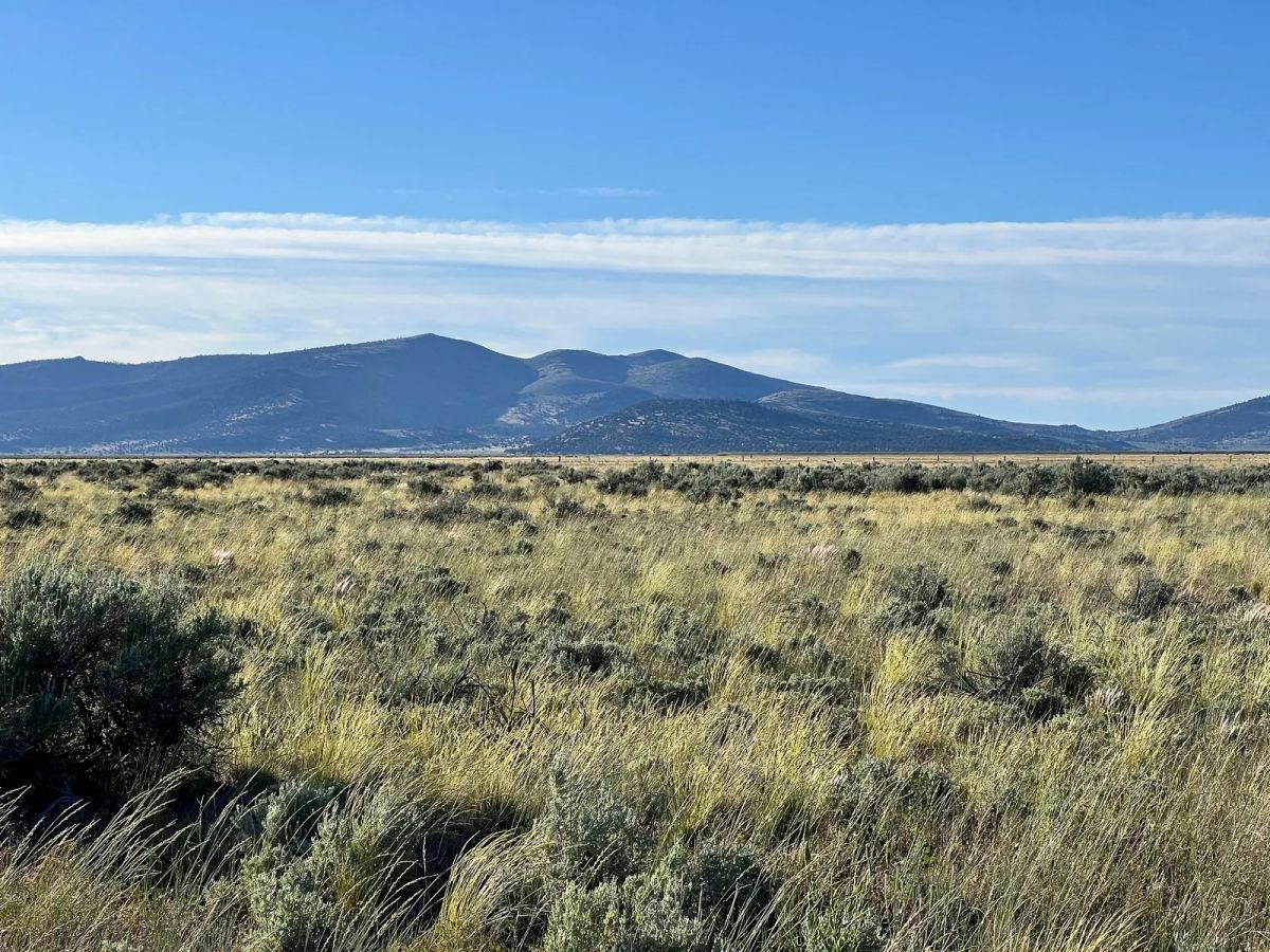 Decorative background for Near Termo, NE California image 11