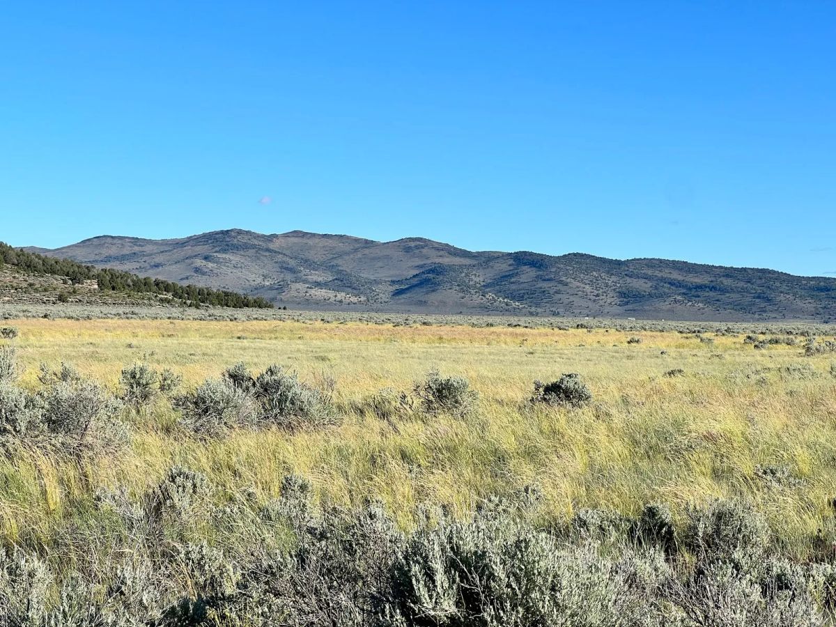 Decorative background for Near Termo, NE California image 12