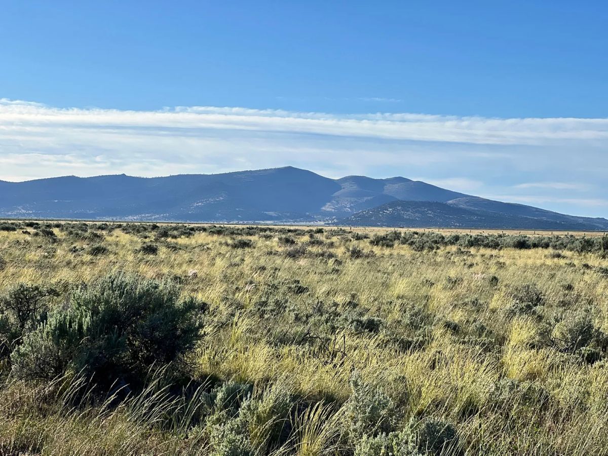 Decorative background for Near Termo, NE California image 14