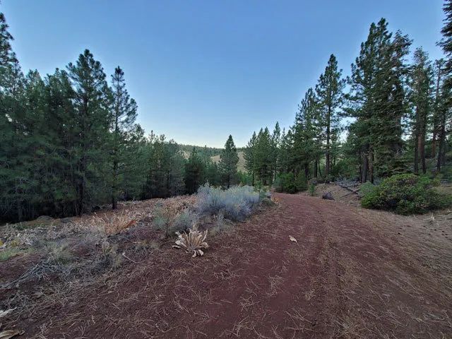 Corner Lot, Mature Trees - Image 3