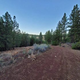Corner Lot, Mature Trees in Modoc County, CA