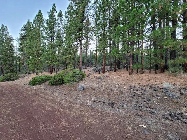 Corner Lot, Mature Trees in Modoc County, CA