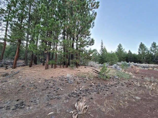 Decorative background for Corner Lot, Mature Trees image 7