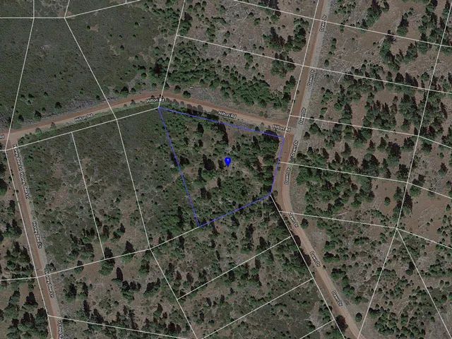 Decorative background for Corner Lot, Mature Trees image 17