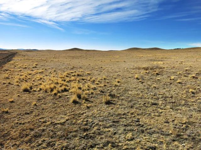 Decorative background for Colorado Land for Sale image 5