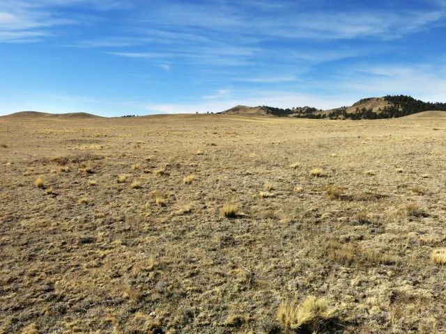 Decorative background for Colorado Land for Sale image 6