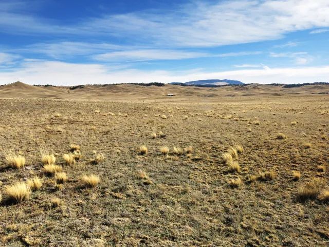 Decorative background for Colorado Land for Sale image 7