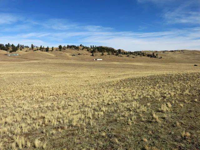 Decorative background for Colorado Land for Sale image 8