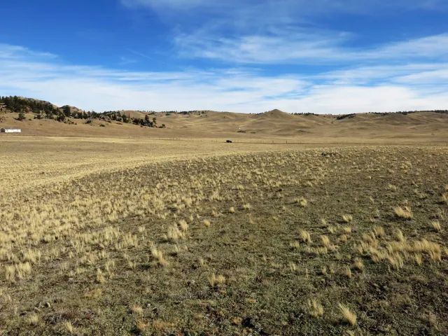 Decorative background for Colorado Land for Sale image 9