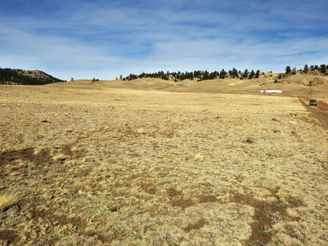 Decorative background for Colorado Land for Sale image 11