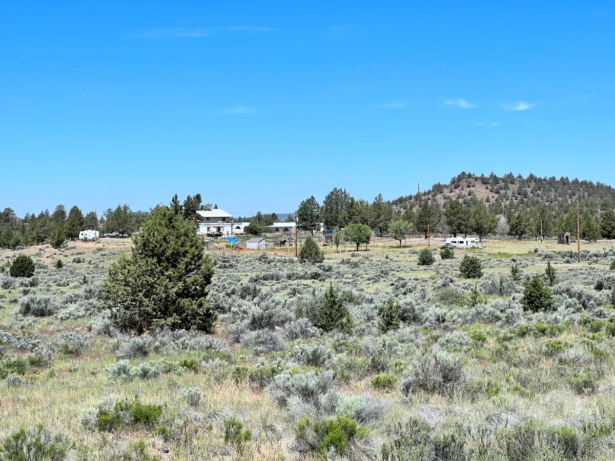Gravel Road, Close to Power - Image 4