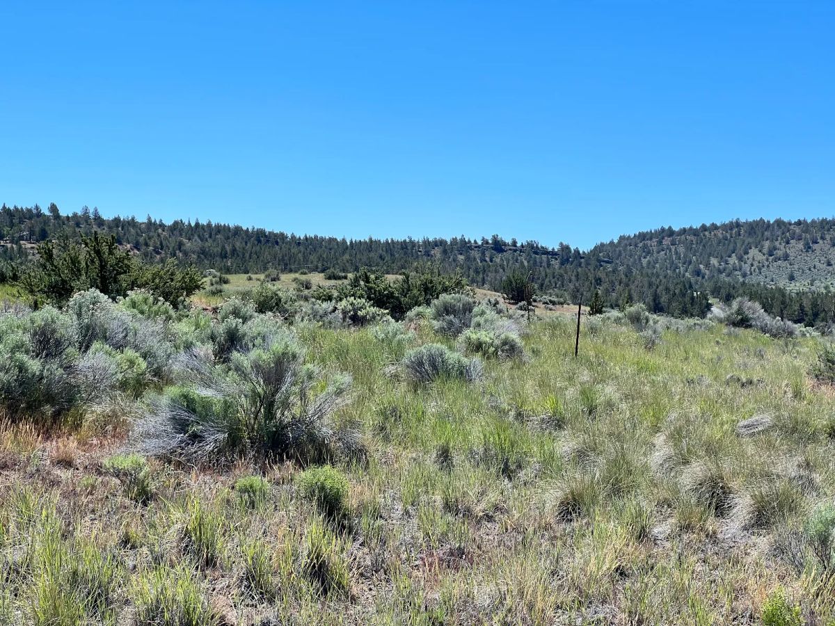 Decorative background for Gravel Road, Close to Power image 5