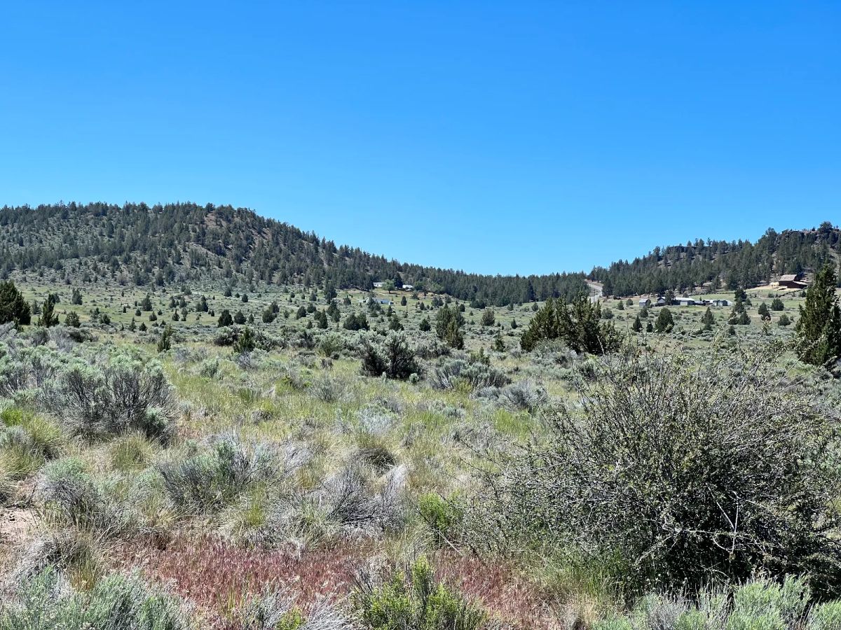 Decorative background for Gravel Road, Close to Power image 6