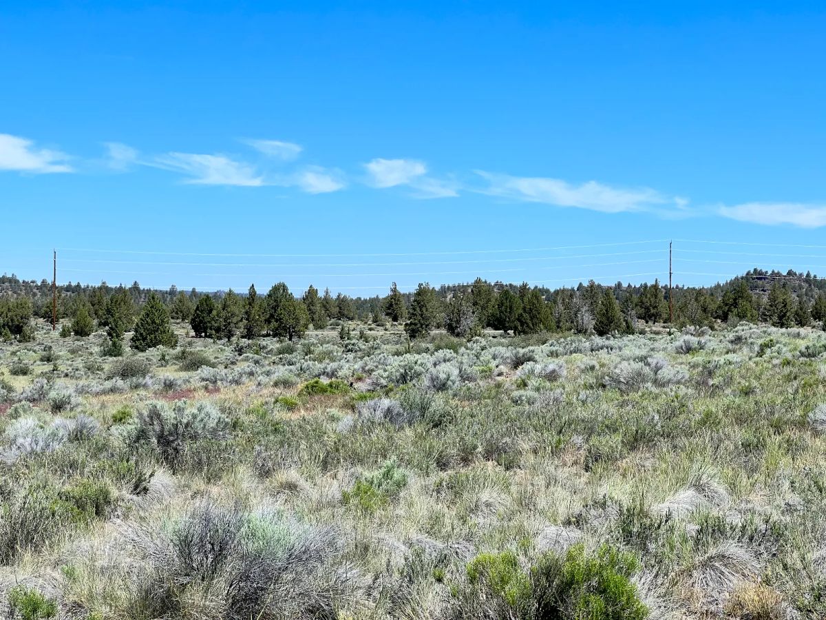 Decorative background for Gravel Road, Close to Power image 7