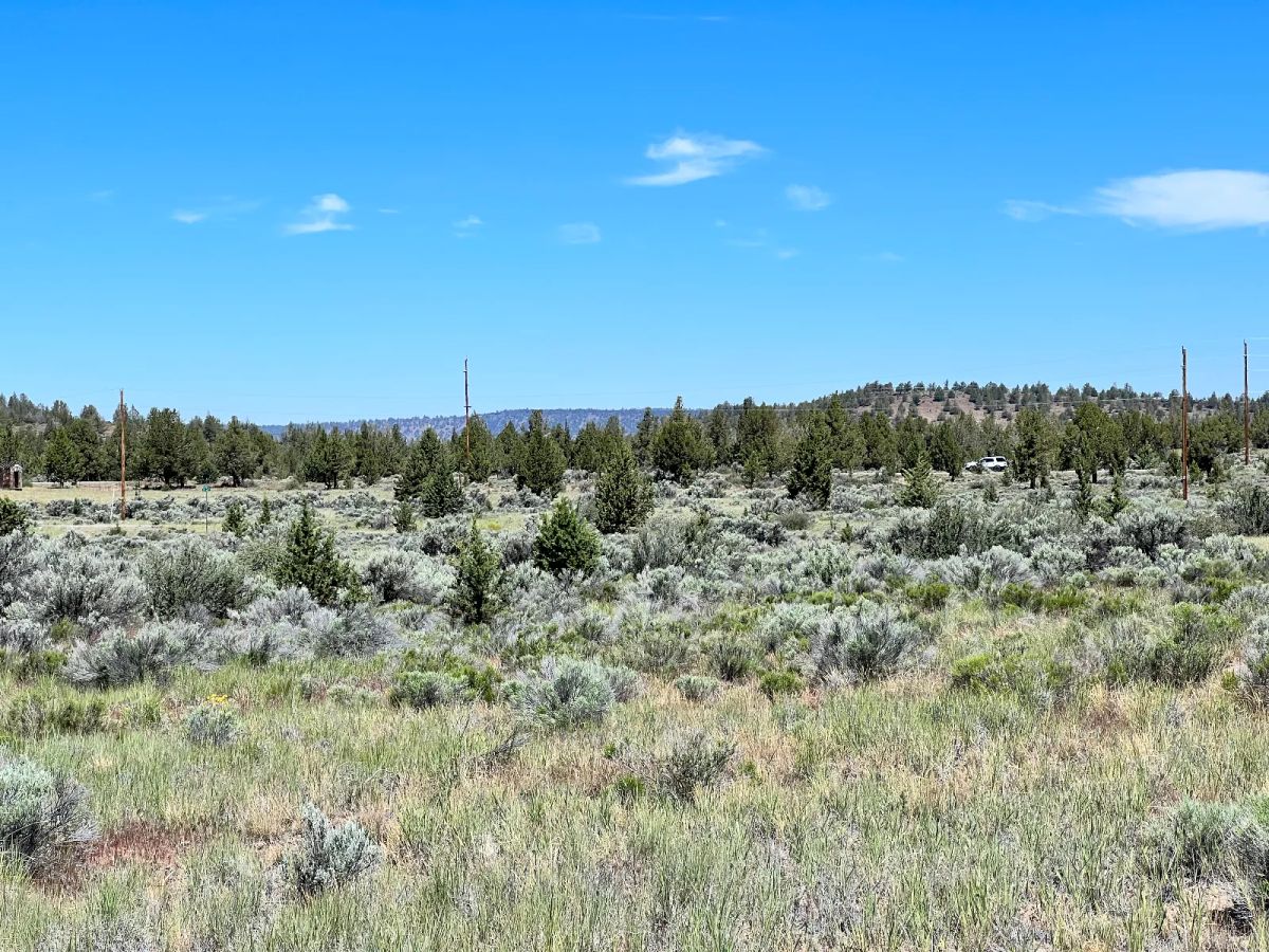 Decorative background for Gravel Road, Close to Power image 10
