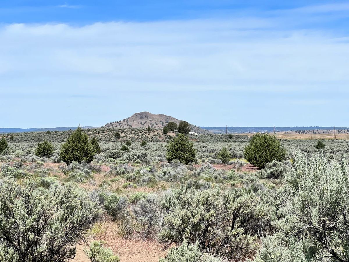 Power Close, Easy Alturas Access - Image 4