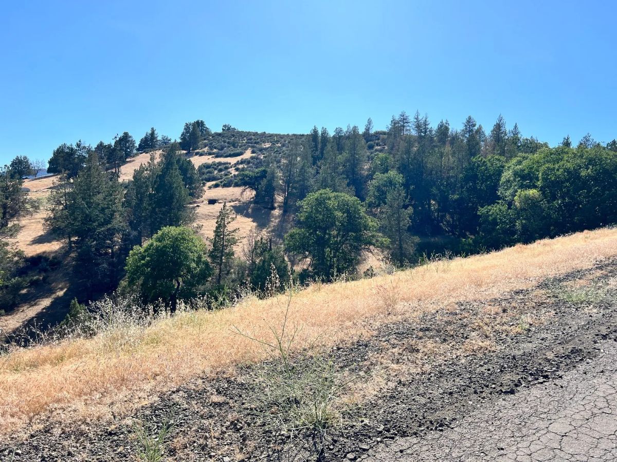 Campground Facility Included, Access to Klamath River - Image 3