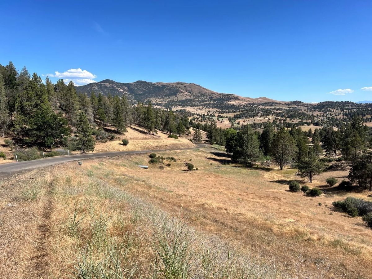 Decorative background for Campground Facility Included, Access to Klamath River image 5