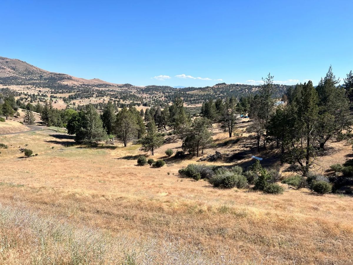 Decorative background for Campground Facility Included, Access to Klamath River image 7