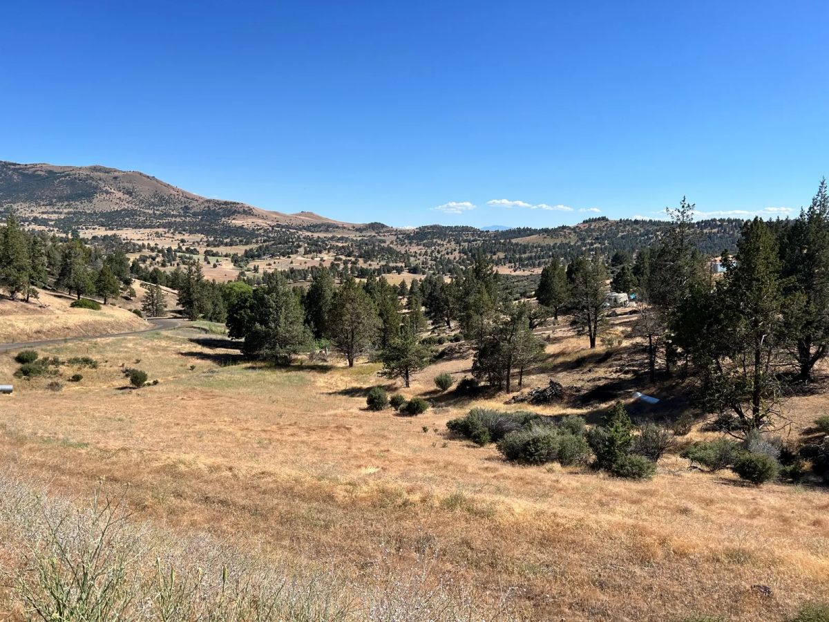 Decorative background for Campground Facility Included, Access to Klamath River image 8