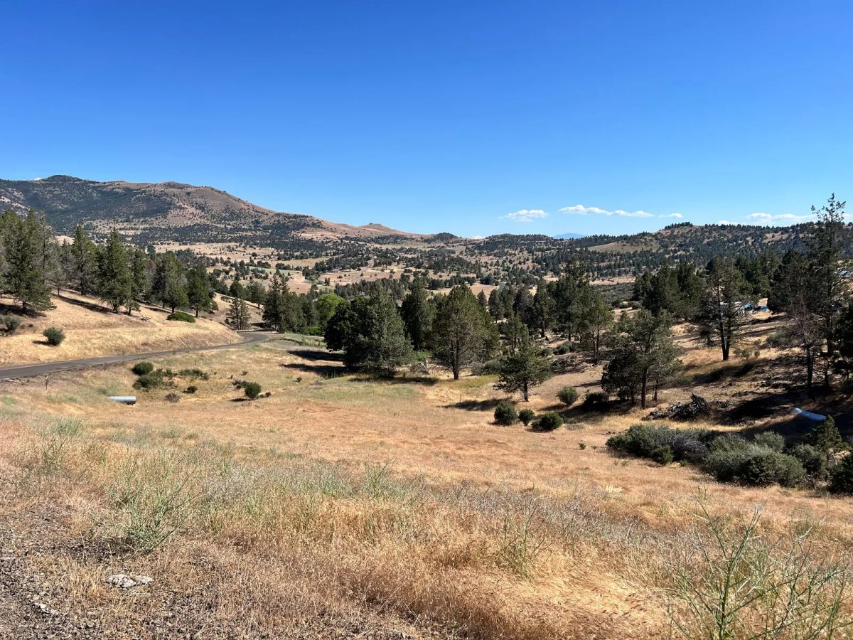 Decorative background for Campground Facility Included, Access to Klamath River image 9