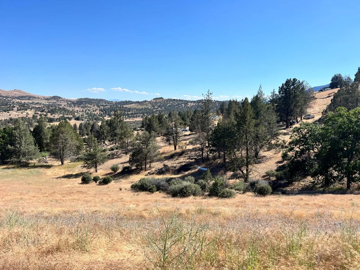 Decorative background for Campground Facility Included, Access to Klamath River image 10