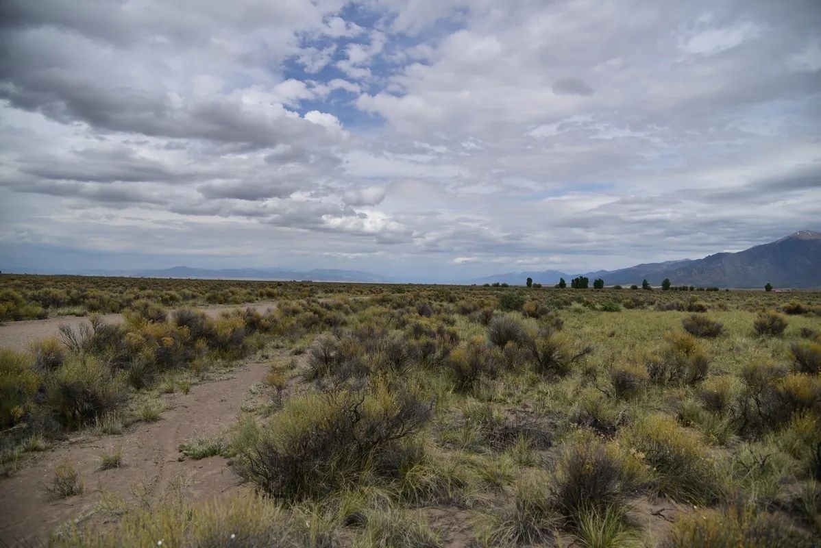 Decorative background for Over 3 Acres near Crestone CO image 5