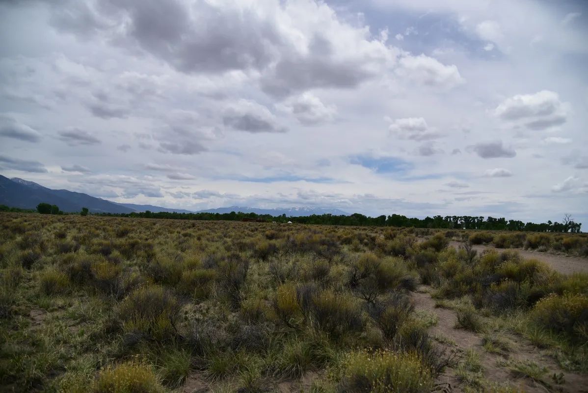 Decorative background for Over 3 Acres near Crestone CO image 7