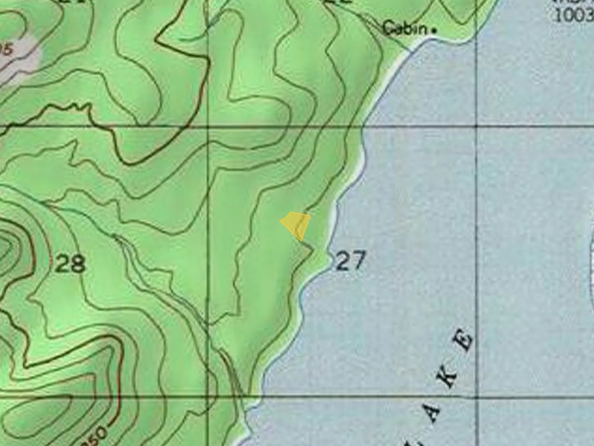 Decorative background for Remote AK, near Wien Lake image 5