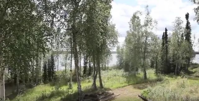 Decorative background for Remote AK, near Wien Lake image 7