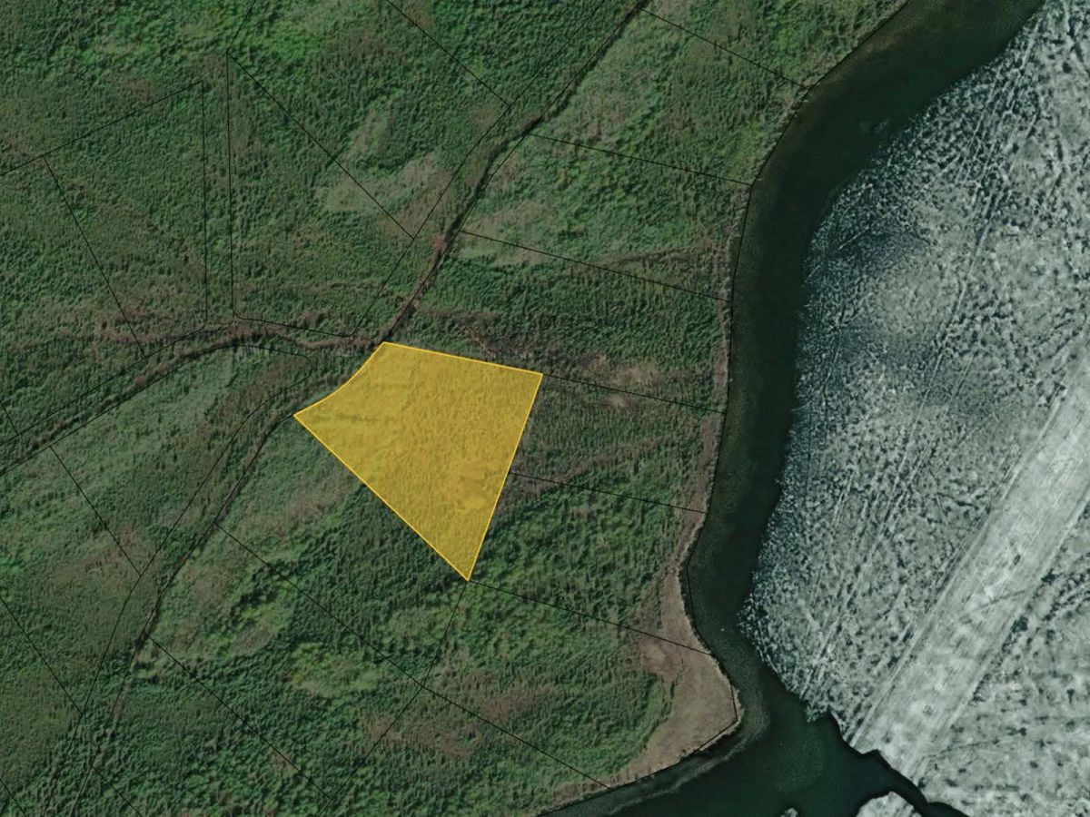 Decorative background for Remote AK, near Wien Lake image 23