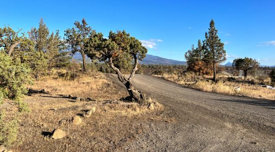 Great Homestead, Driveway, Gate, Power, Great Views in Siskiyou County, CA