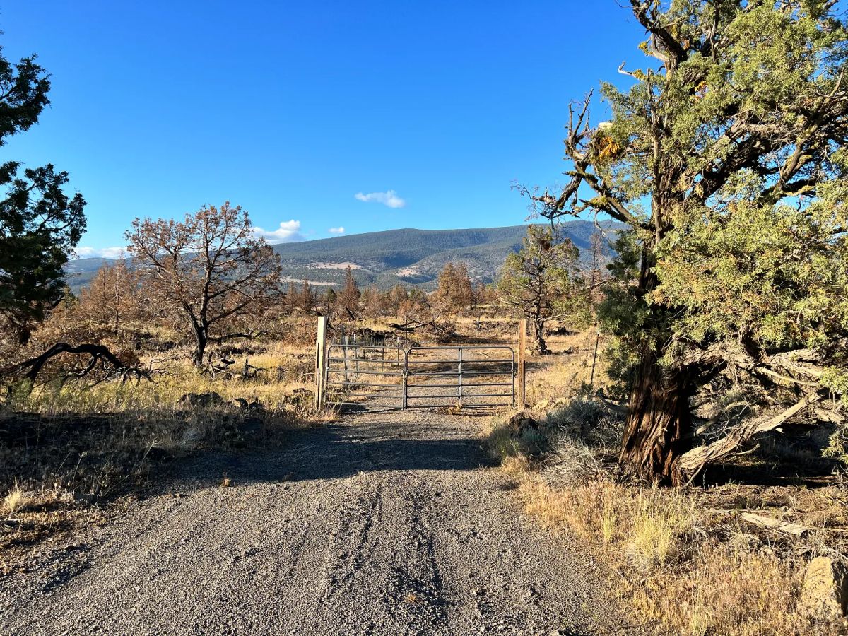 Great Homestead, Driveway, Gate, Power, Great Views - Image 4