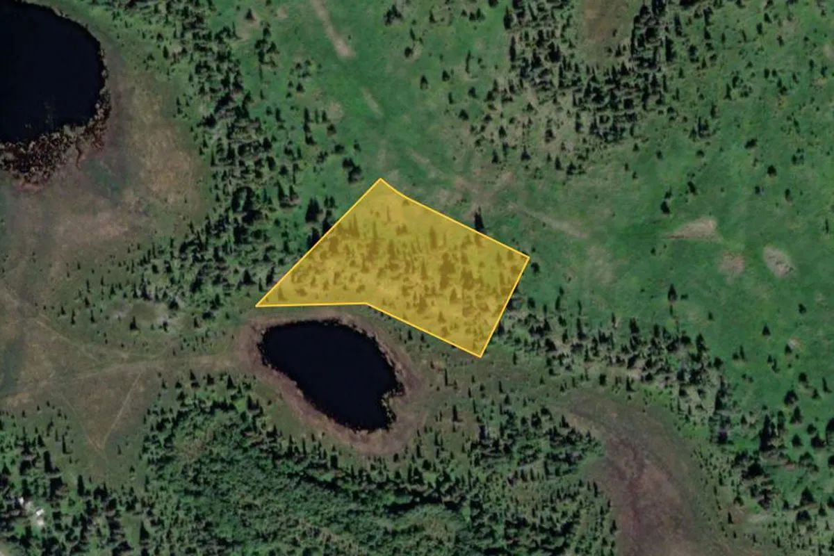 Alaska Lakefront Forest Knolls Kenai - Image 2