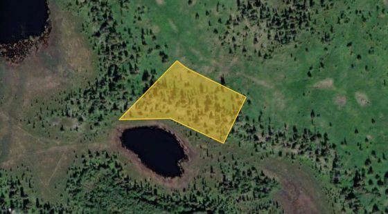 Alaska Lakefront Forest Knolls Kenai in Kenai Peninsula County, AK