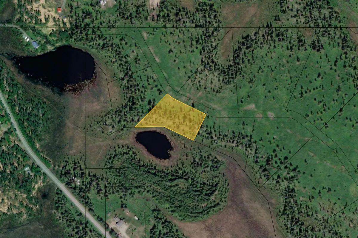 Alaska Lakefront Forest Knolls Kenai in Kenai Peninsula County, AK
