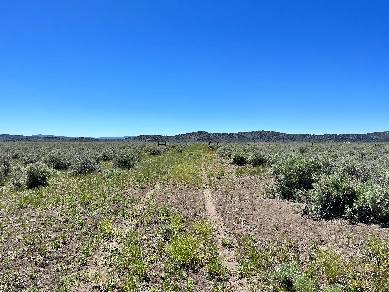 1 Hour from Susanville, Nice 20 Acres in Lassen County, CA