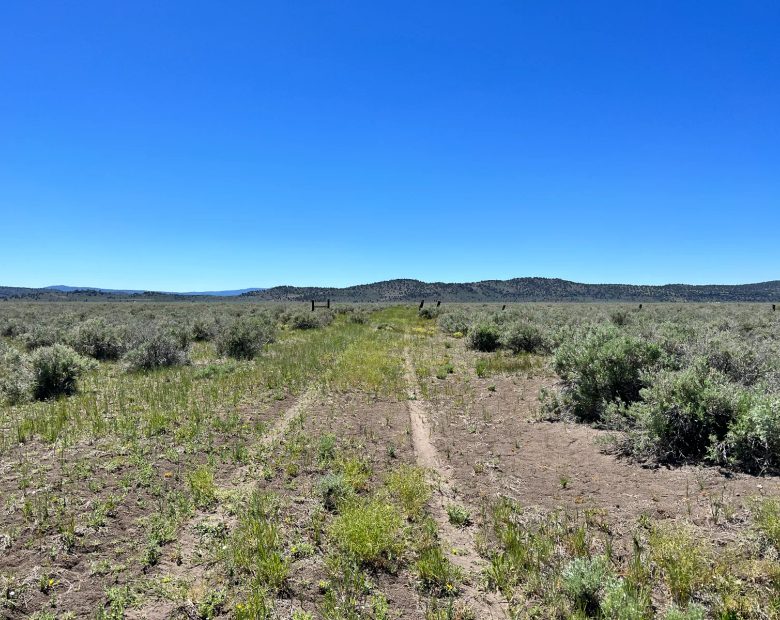 1 Hour from Susanville, Nice 20 Acres in Lassen County, CA
