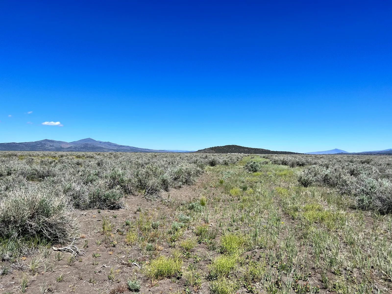 1 Hour from Susanville, Nice 20 Acres in Lassen County, CA