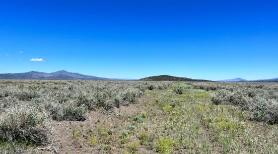 1 Hour from Susanville, Nice 20 Acres in Lassen County, CA