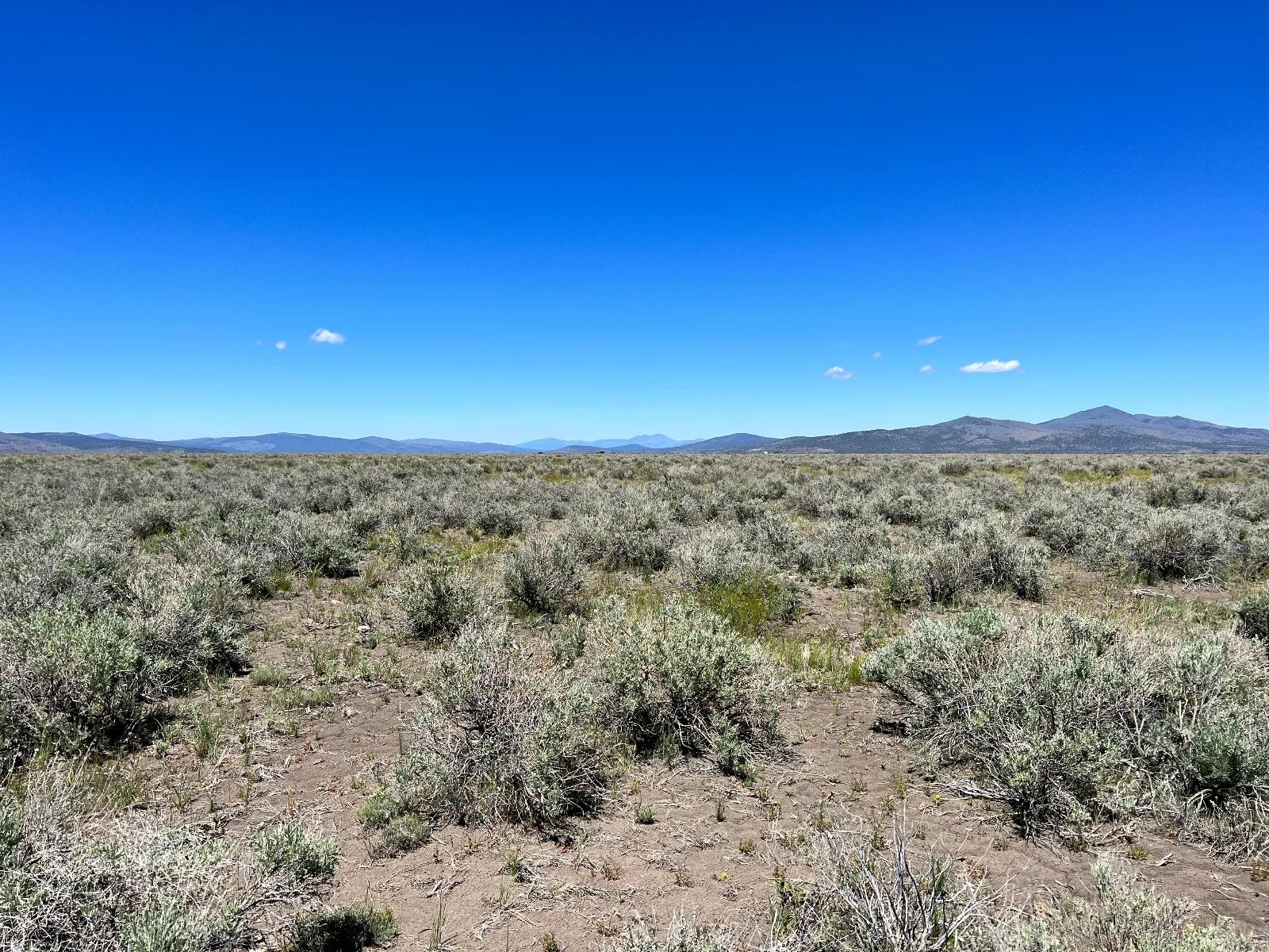 1 Hour from Susanville, Nice 20 Acres in Lassen County, CA