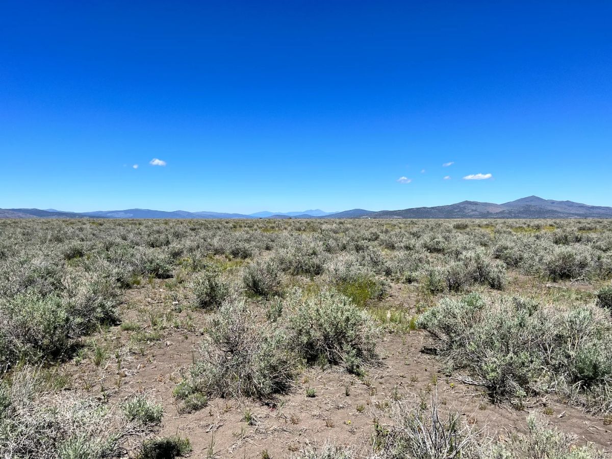 1 Hour from Susanville, Nice 20 Acres - Image 3