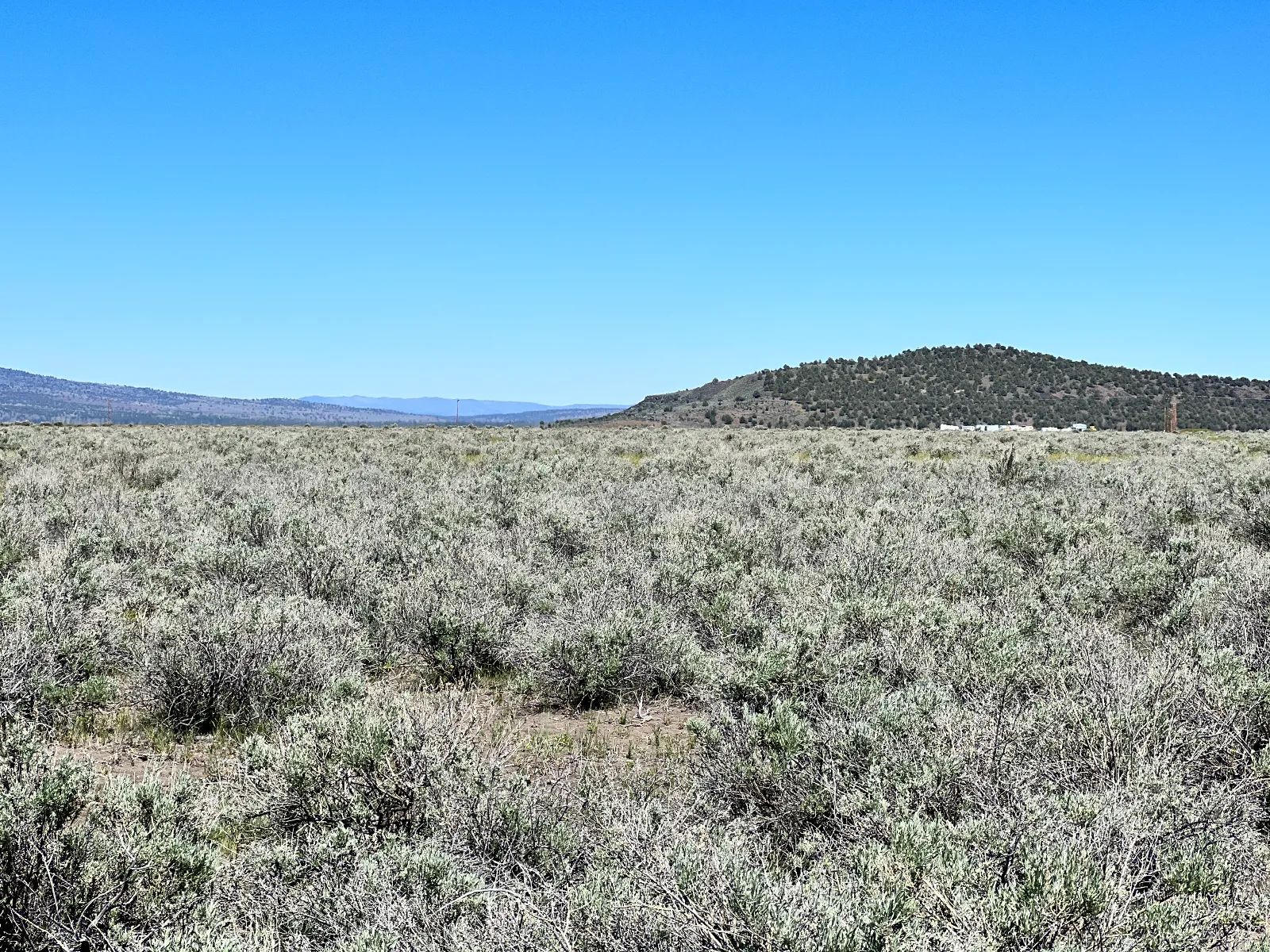 1 Hour from Susanville, Nice 20 Acres in Lassen County, CA