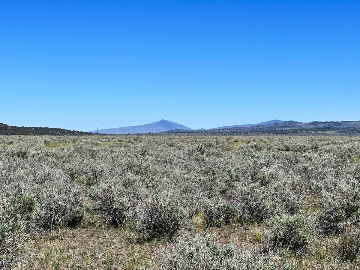 Decorative background for 1 Hour from Susanville, Nice 20 Acres image 6