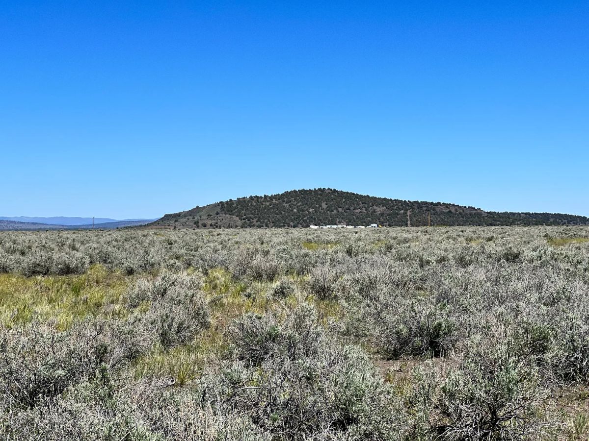 Decorative background for 1 Hour from Susanville, Nice 20 Acres image 7