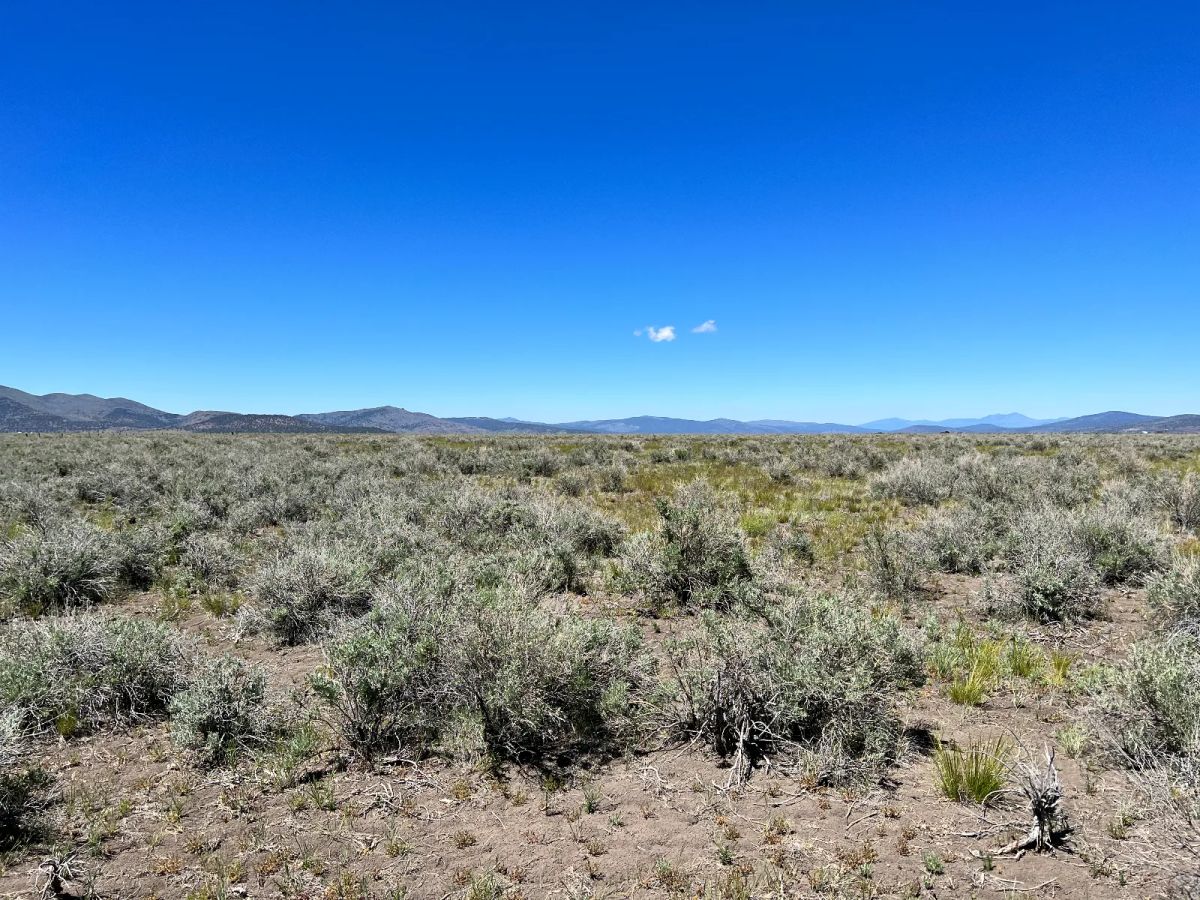 Decorative background for 1 Hour from Susanville, Nice 20 Acres image 8